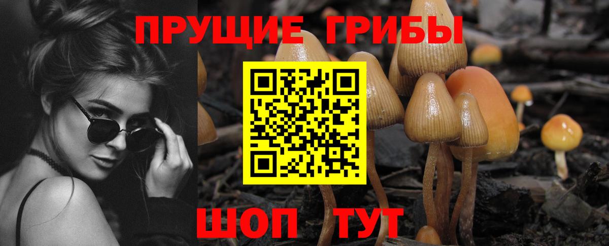 Галлюциногенные грибы Psilocybine cubensis  Вход с VPN  Краснознаменск 